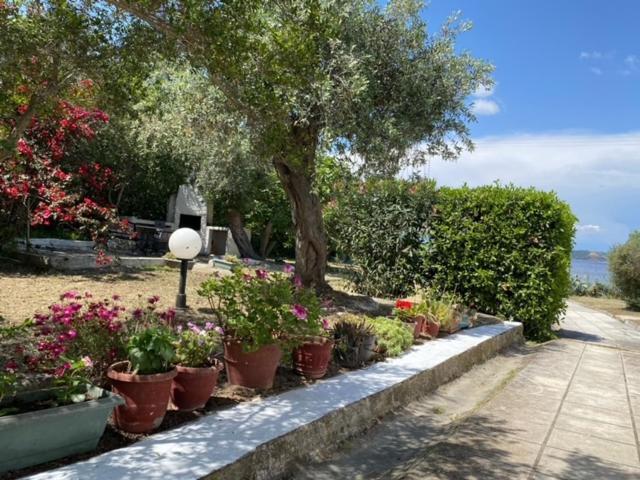 Villa Casa Santa Agua à Amoliani Extérieur photo