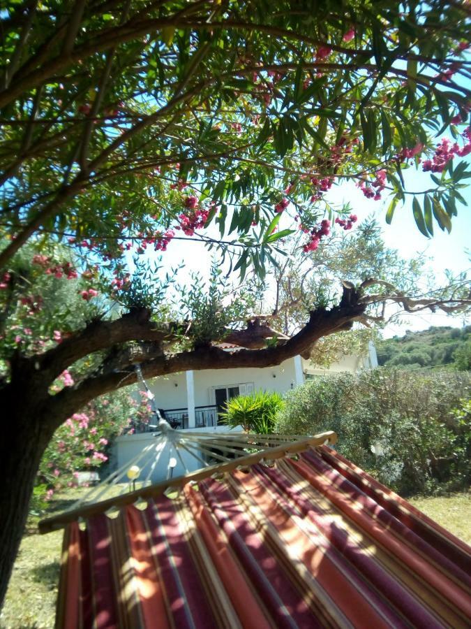 Villa Casa Santa Agua à Amoliani Extérieur photo